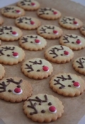 Das kleine weisse Haus Rudolph Cookies